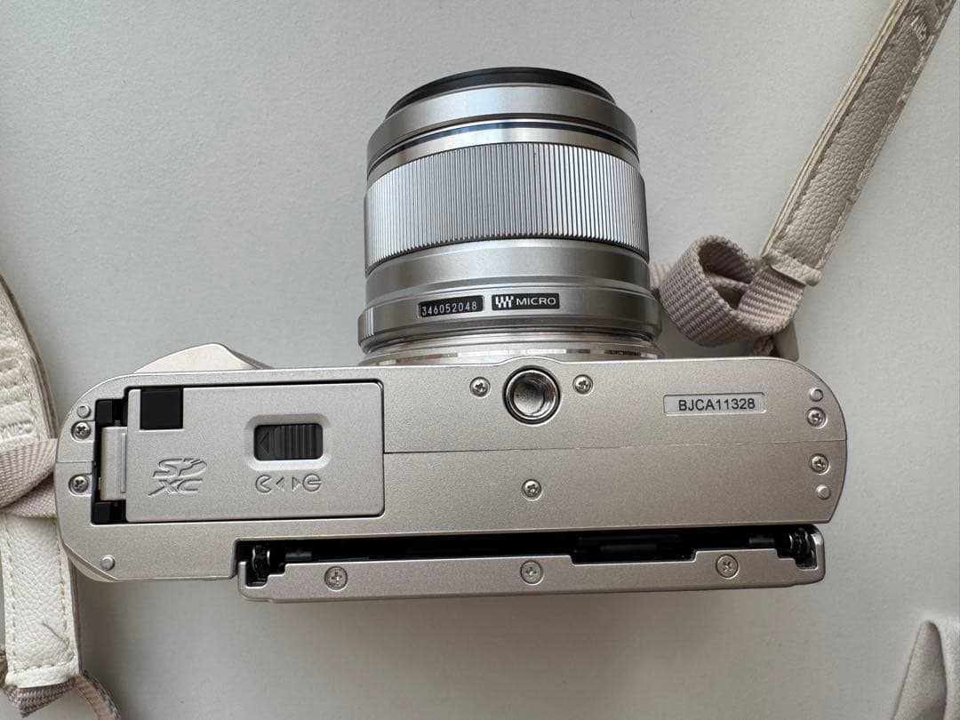 OLYMPUS オリンパスPEN E-PL10（ブラウン）ミラーレス一眼