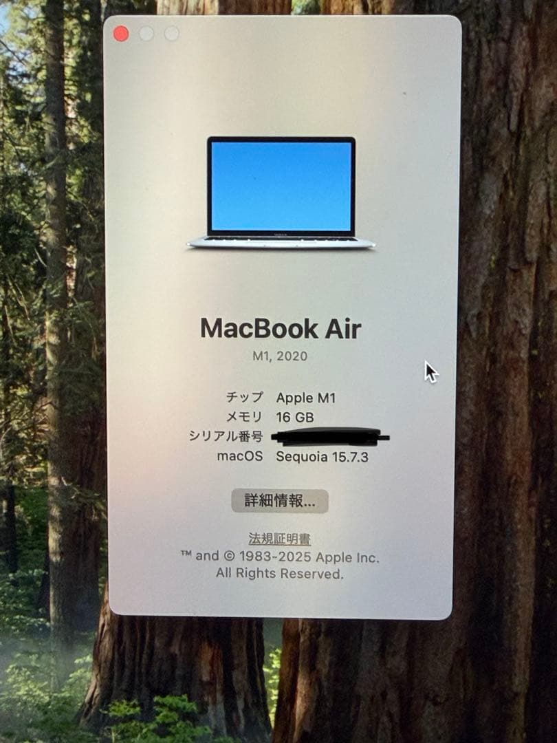 Apple MacBook Air (M1, 2020) シルバー JIS