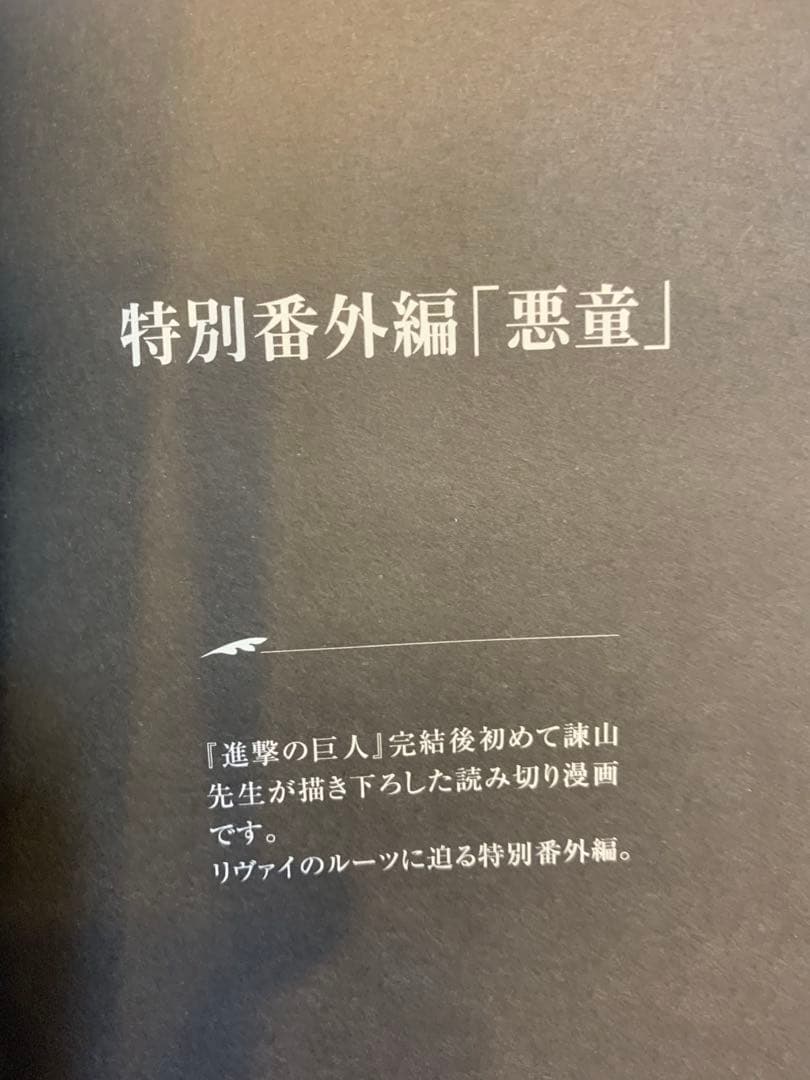 進撃の巨人 単行本35巻 画集FLY（受注生産限定）