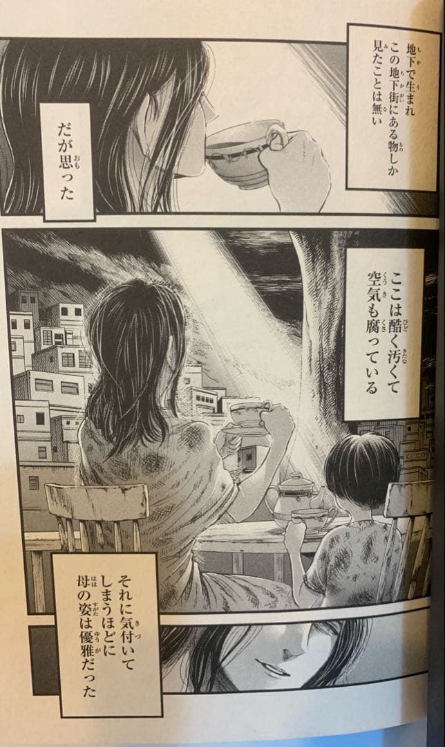 進撃の巨人 単行本35巻 画集FLY（受注生産限定）