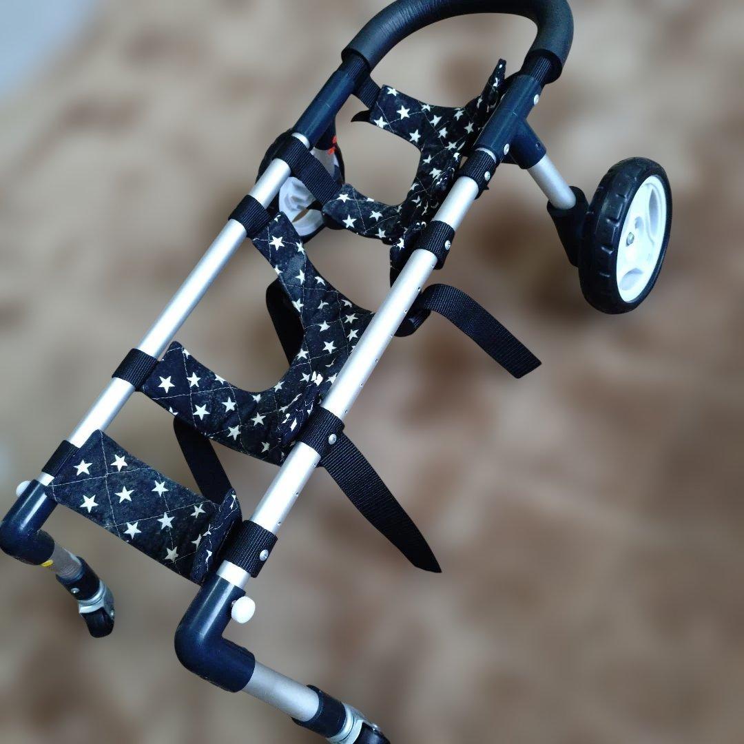 カニンヘン ダックス 車椅子