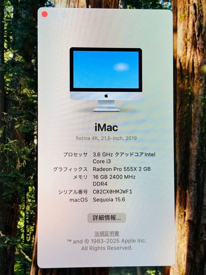 Apple iMac 21.5インチ Retina 4K（2019）
