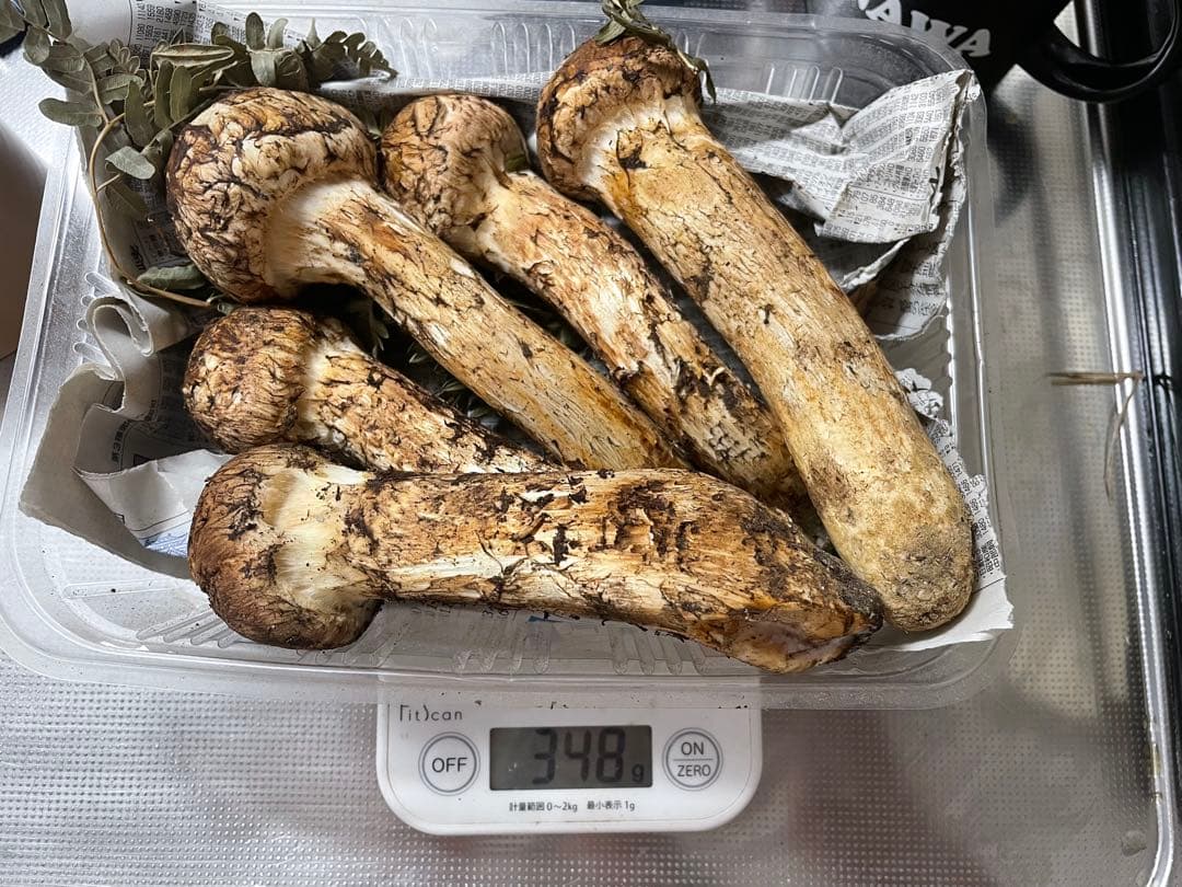 岩手マツタケ 348g