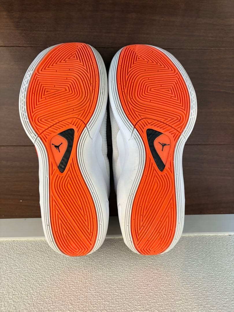 NIKE JORDAN ルカ1 ゼブラ バスケットボールシューズ