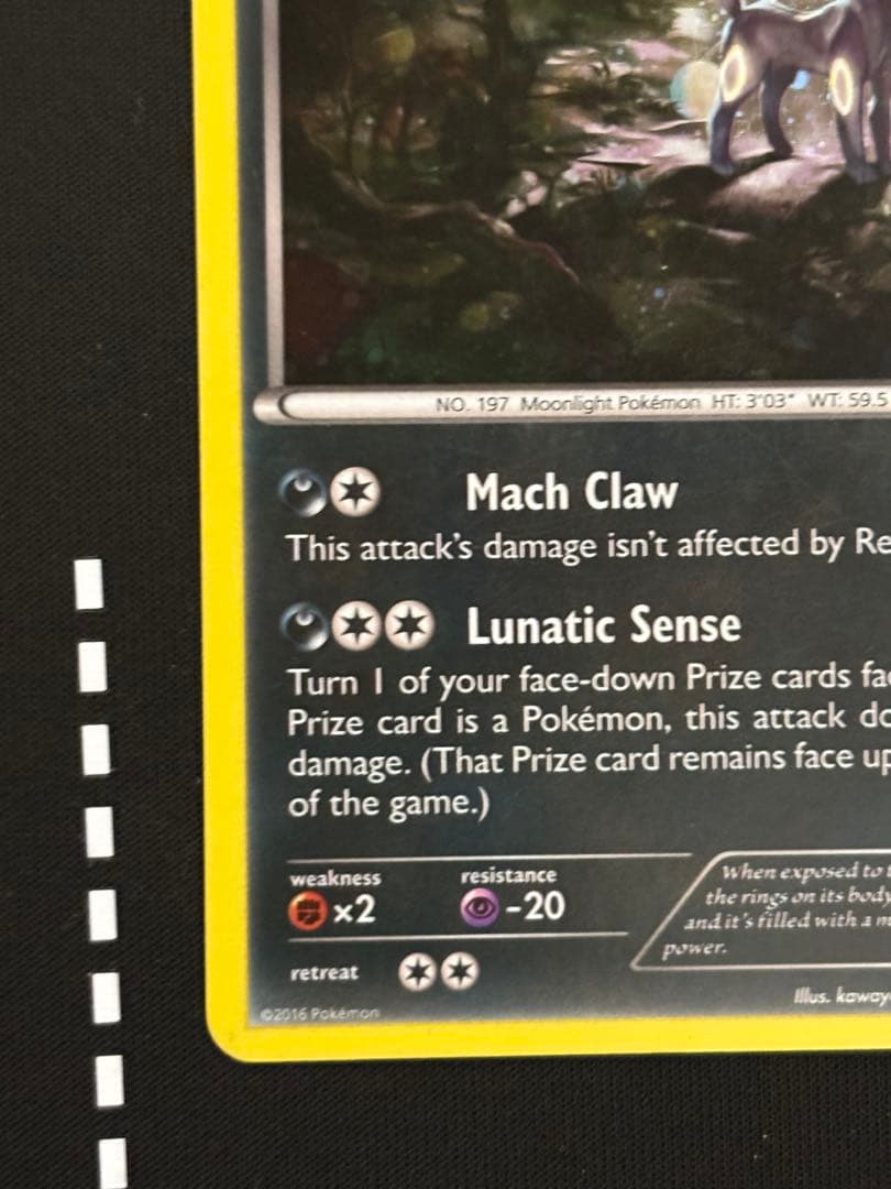 d*4様 ブラッキーナイトバトルプロモ英語版 xy96 正規品Umbreon