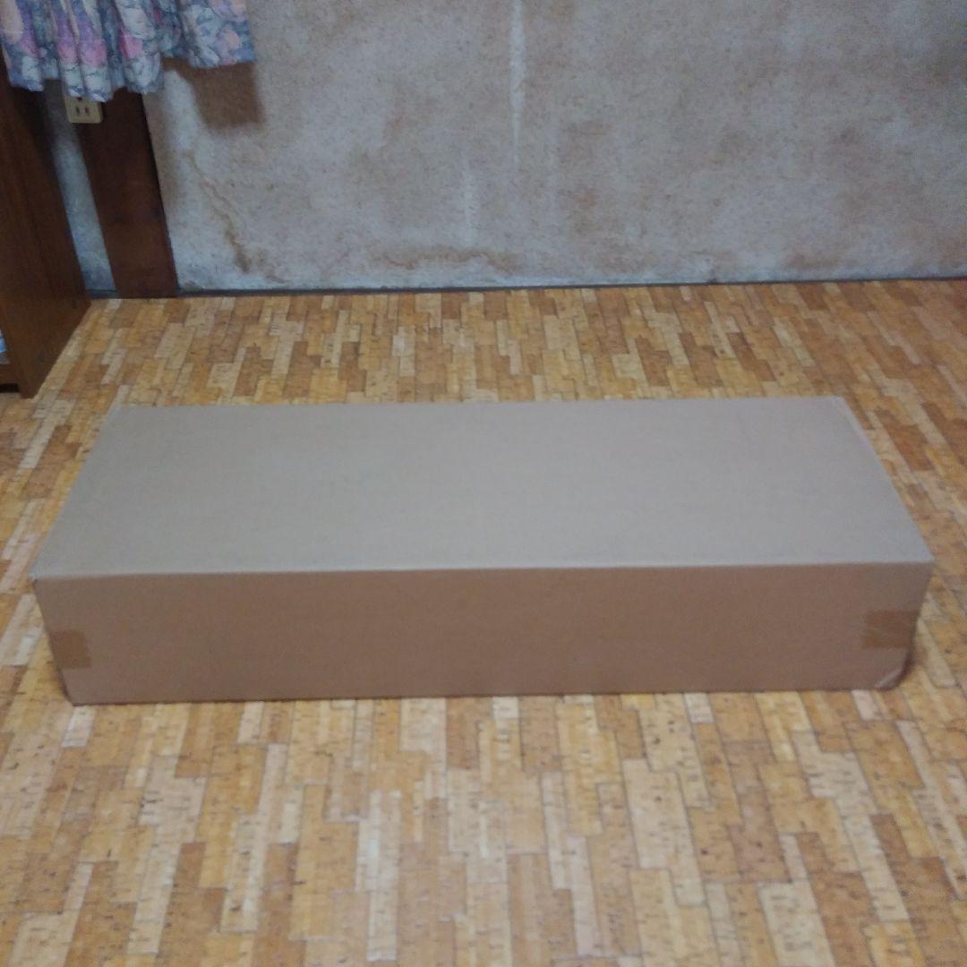 Dyson Cyclone V10 Fluffy Black 新品未開封