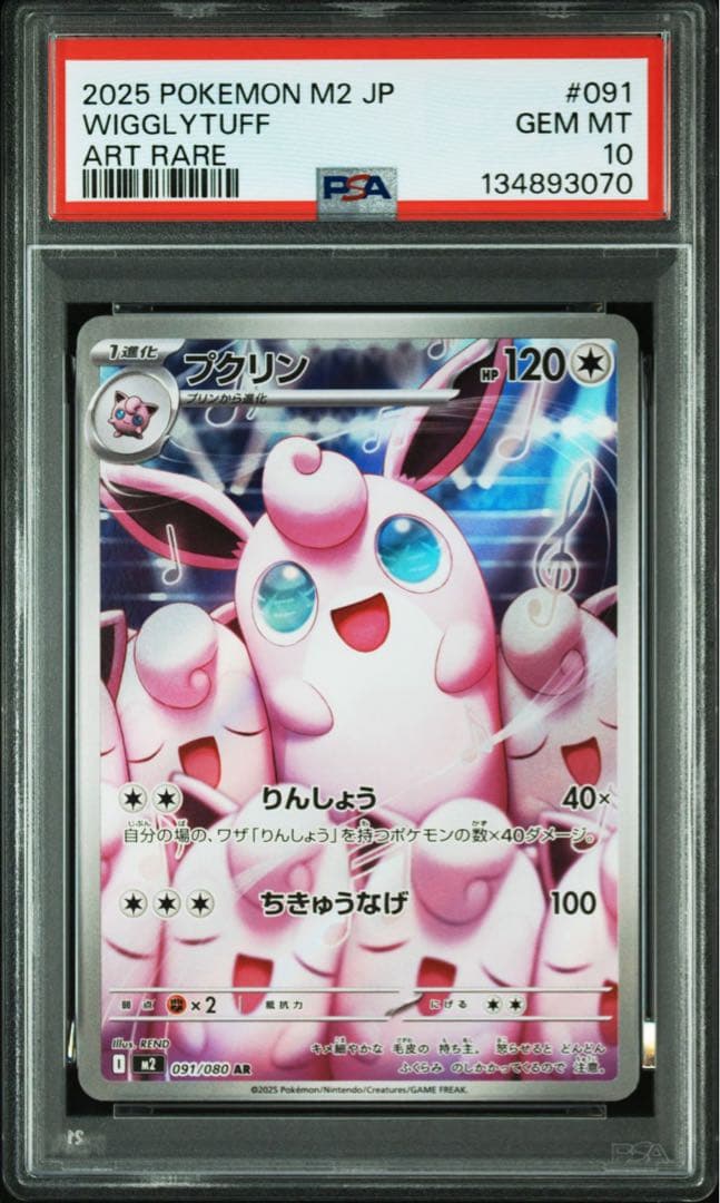 プクリン　AR PSA10 インフェルノX