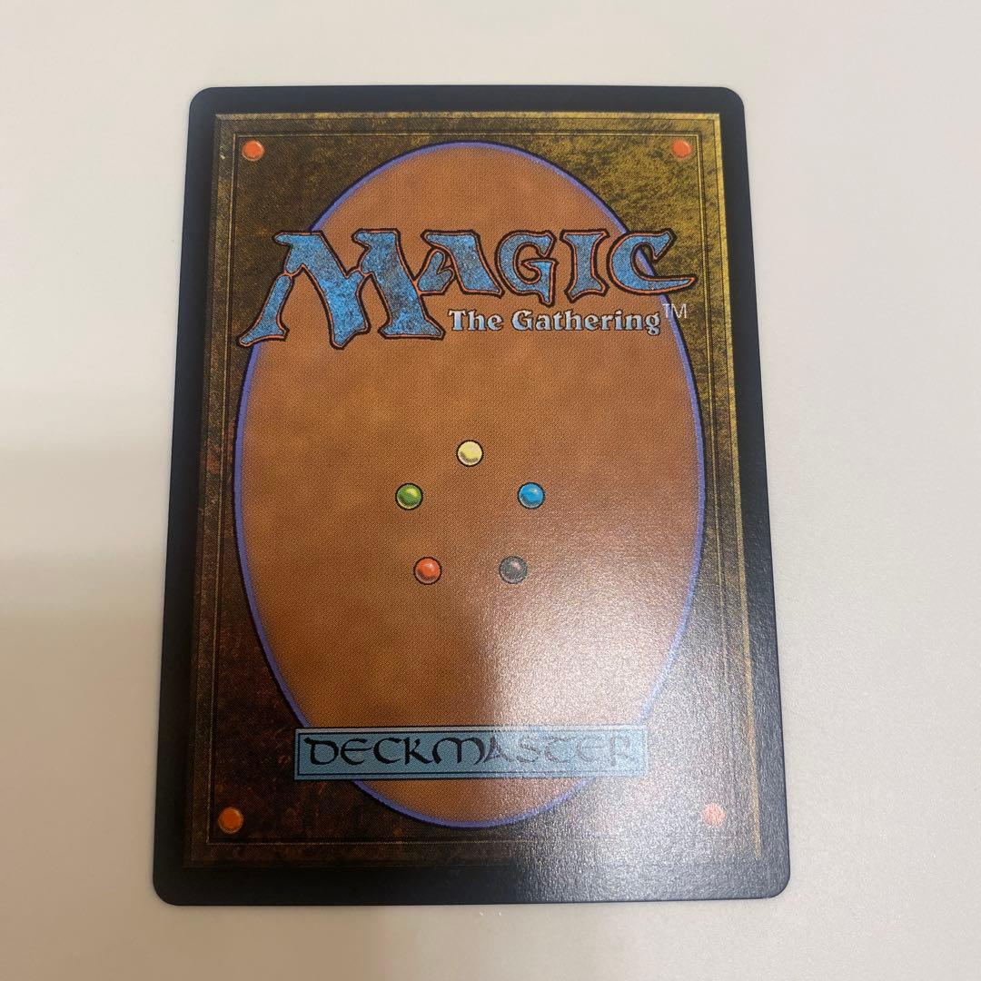 【MTG】霧深い雨林 Foil