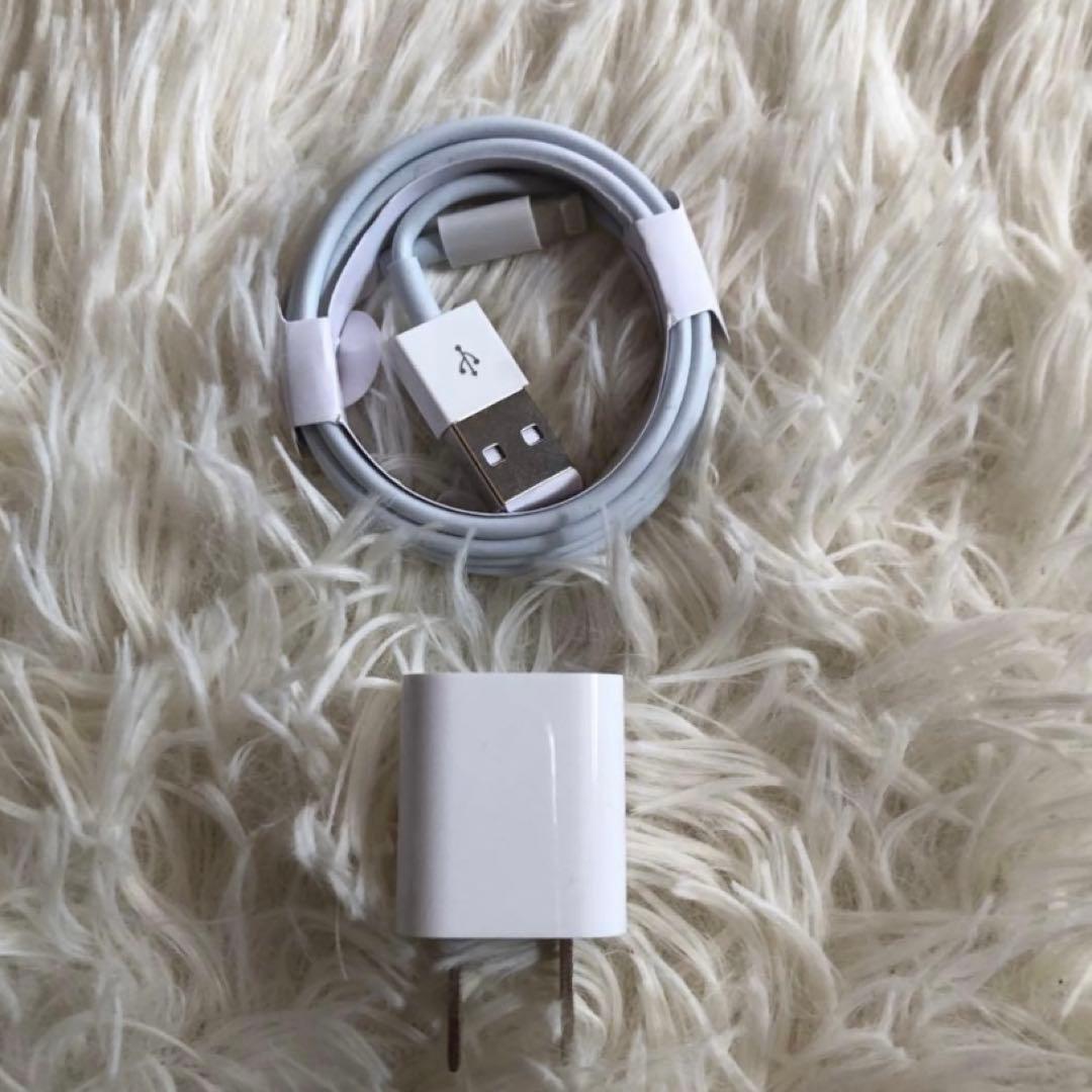 【早い者勝ち】iPad Pro 10.5 256GB 【すぐ発送】【付属品】