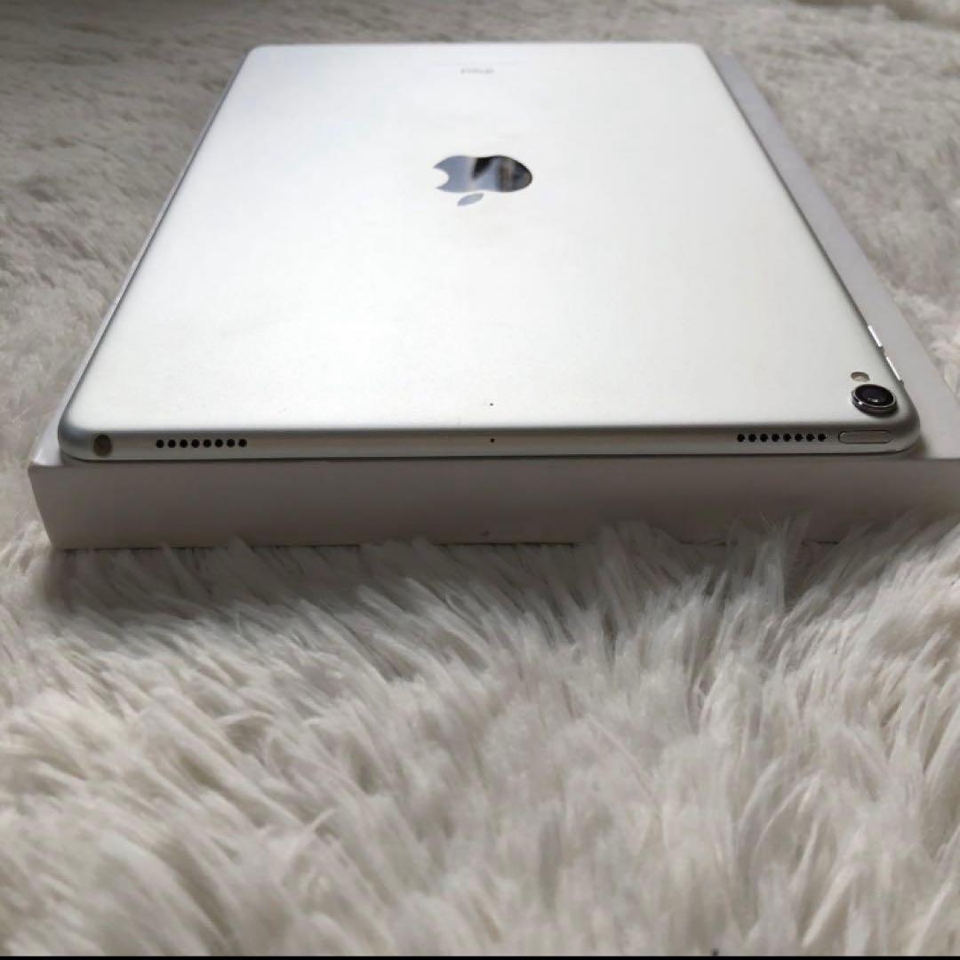 【早い者勝ち】iPad Pro 10.5 256GB 【すぐ発送】【付属品】
