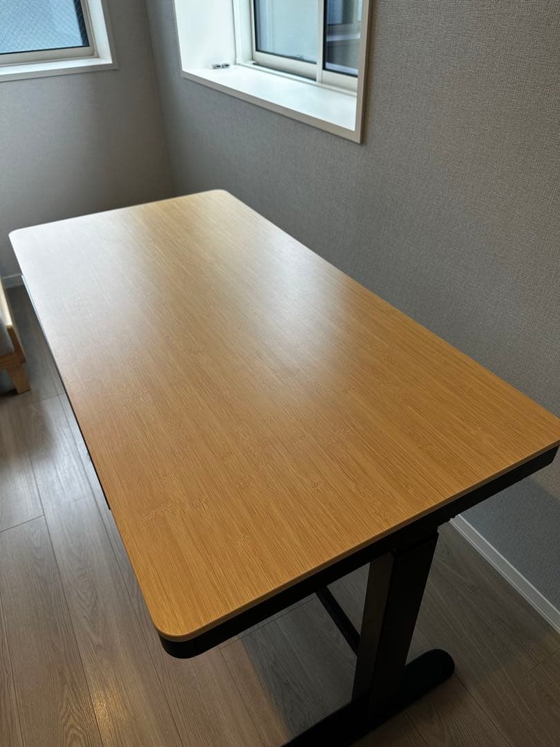 FlexiSpot EW8 昇降式デスク 横幅120cm