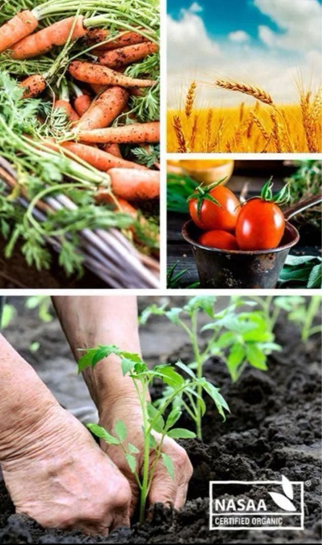 bubs Organic 1 (0~6 Months ) 800g 2缶セット