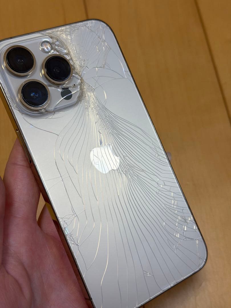 【高山エネ太郎様】iPhone 13 Pro ジャンク品:操作問題なし