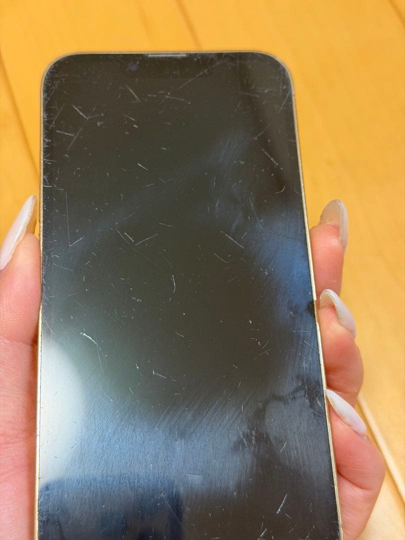 【高山エネ太郎様】iPhone 13 Pro ジャンク品:操作問題なし