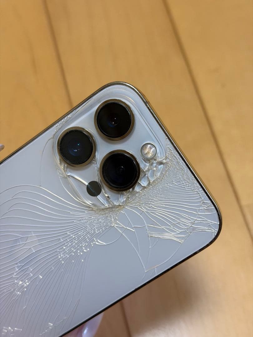 【高山エネ太郎様】iPhone 13 Pro ジャンク品:操作問題なし