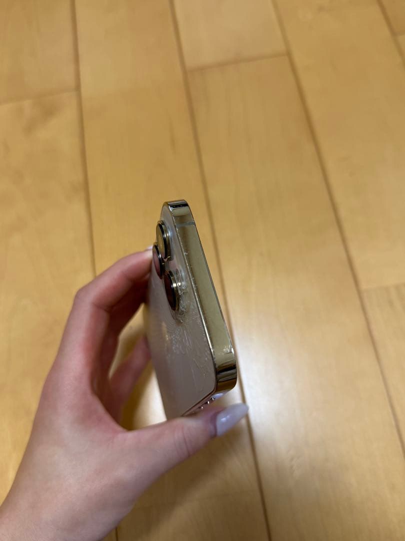 【高山エネ太郎様】iPhone 13 Pro ジャンク品:操作問題なし