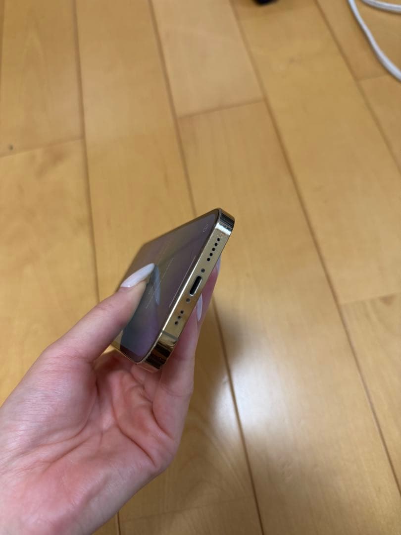 【高山エネ太郎様】iPhone 13 Pro ジャンク品:操作問題なし