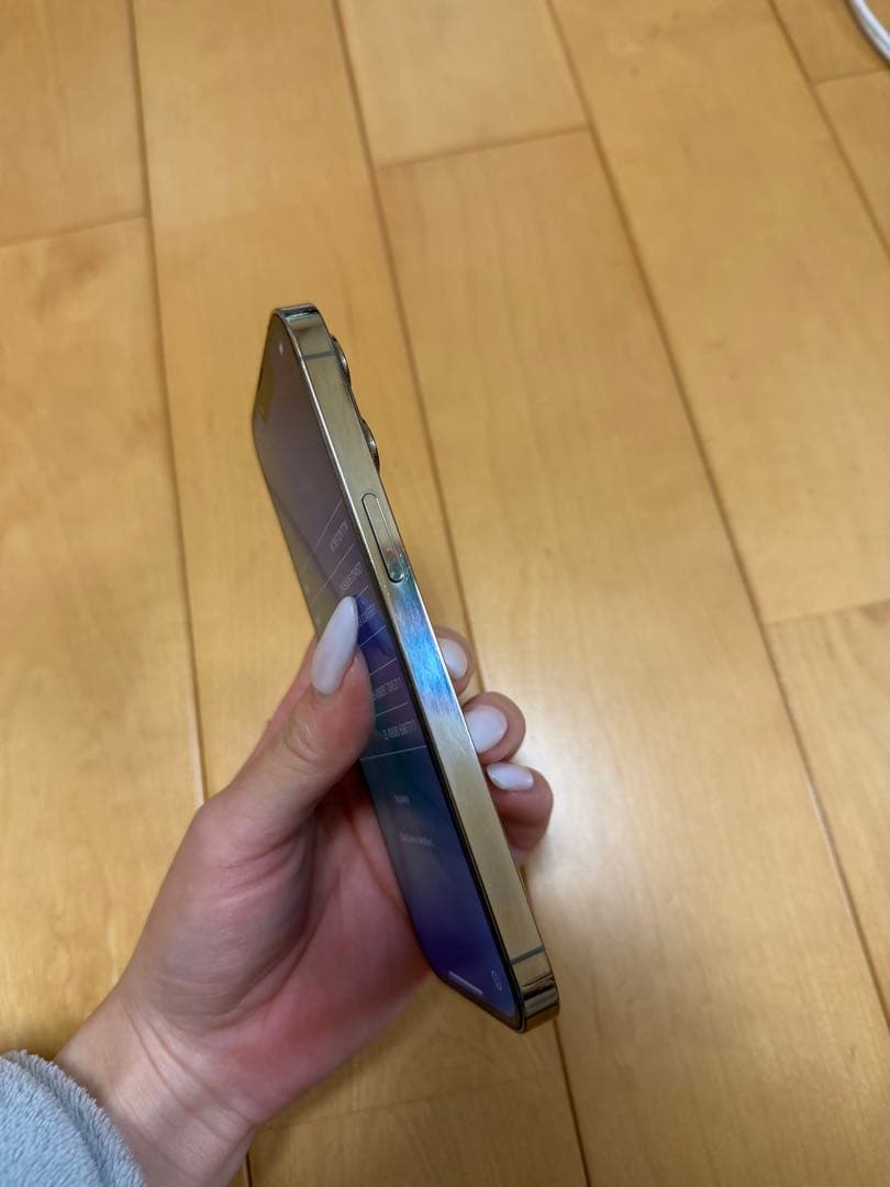 【高山エネ太郎様】iPhone 13 Pro ジャンク品:操作問題なし