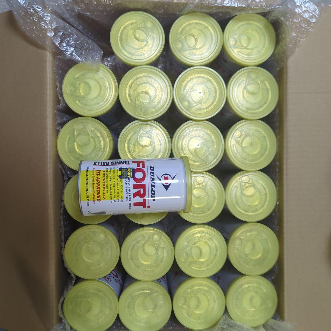 DUNLOP FORT テニスボール 24缶