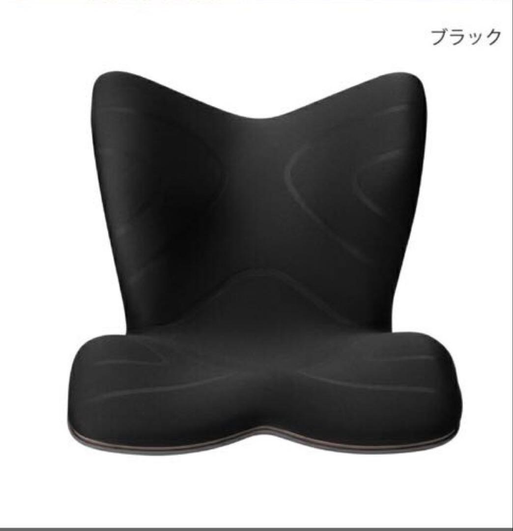 Style PREMIUM 骨盤・姿勢矯正クッション