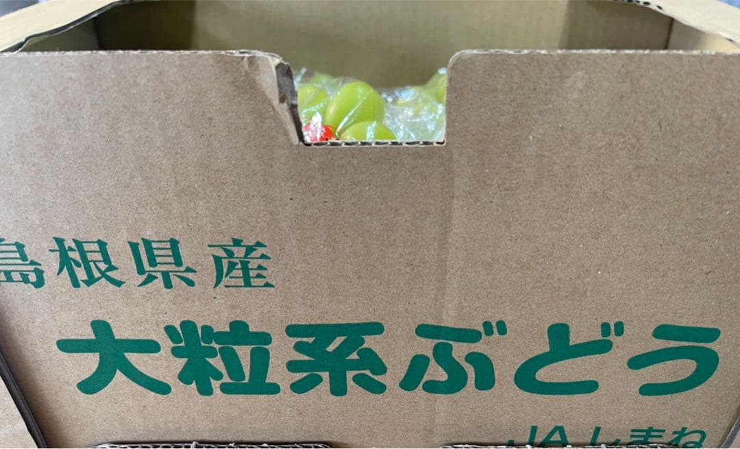 ① 【島根県産】シャインマスカット約5キロ(8房)