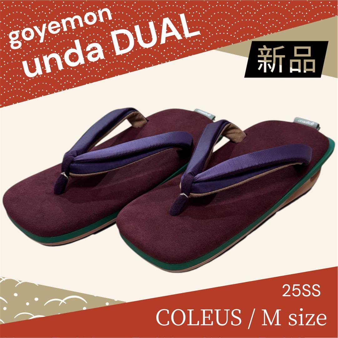 靴 goyemon unda DUAL COLEUS M size