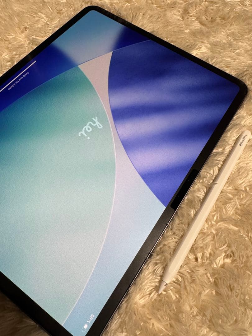 iPad Pro 13インチ M4 256GB Wi-Fi 純正ペンpro