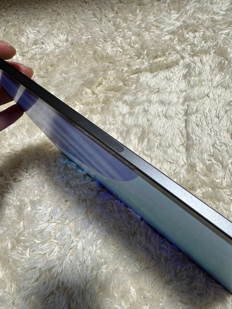 iPad Pro 13インチ M4 256GB Wi-Fi 純正ペンpro