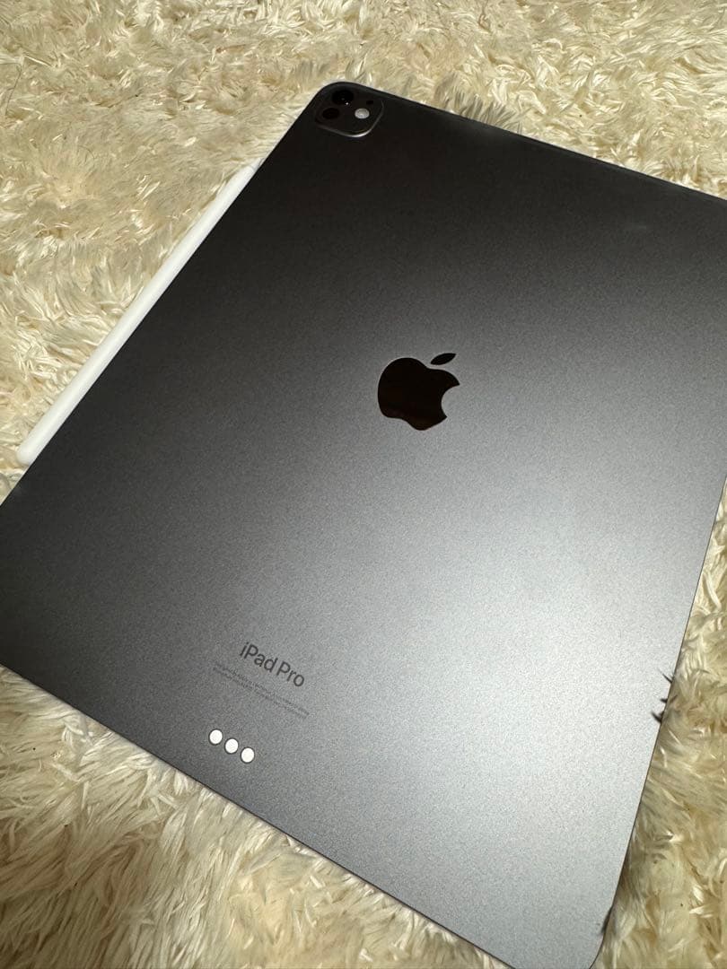 iPad Pro 13インチ M4 256GB Wi-Fi 純正ペンpro
