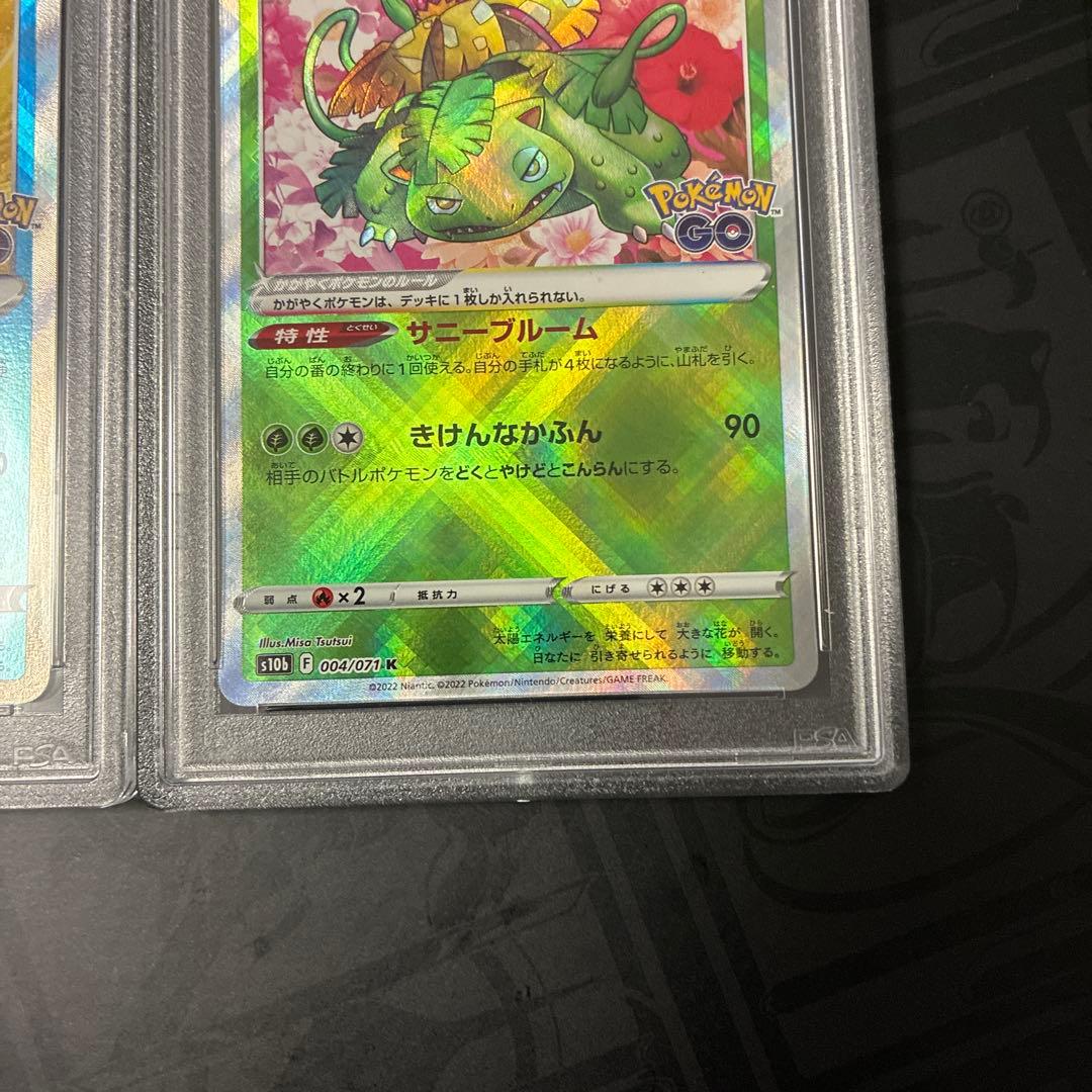 ポケモンGO かがやくカメックス　フシギバナpsa10 連番セット