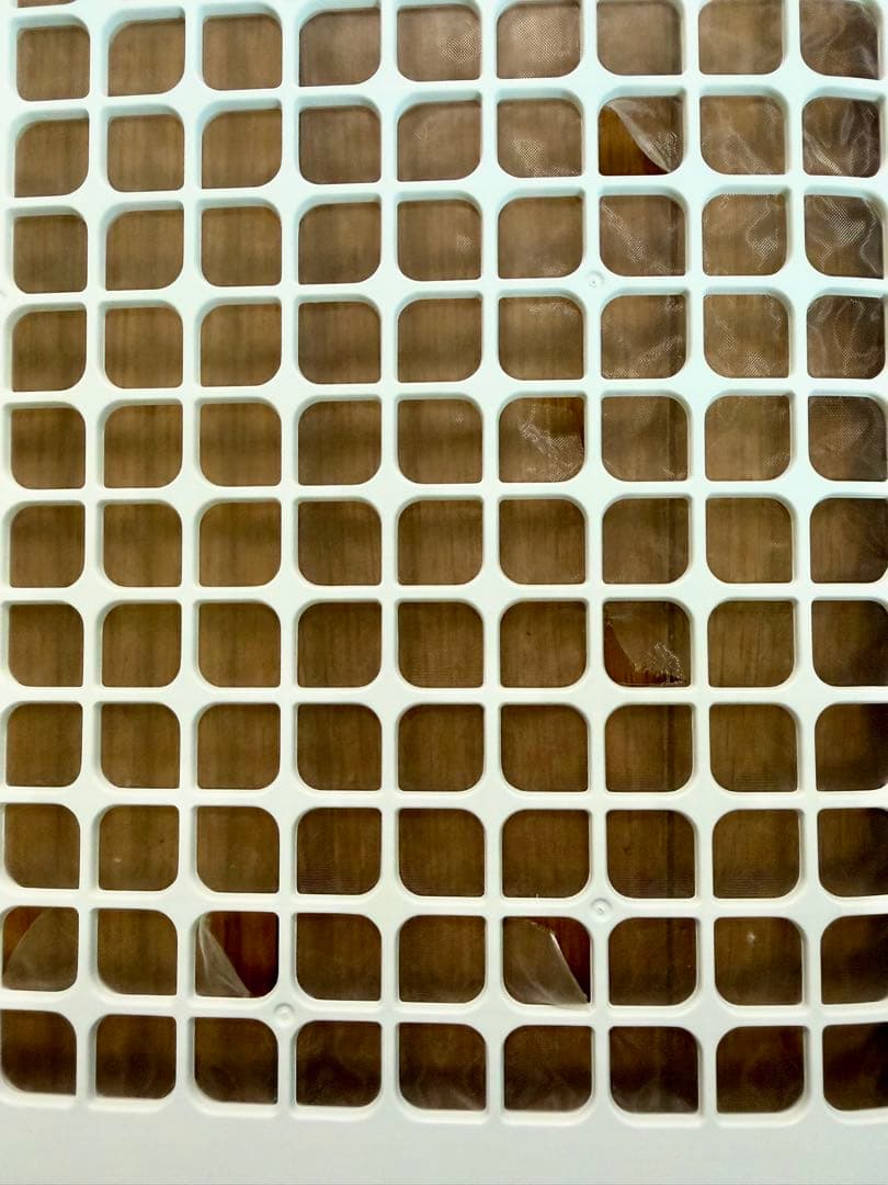 【訳あり品】SHARP 加湿空気清浄機　KI-NS40-W 2022年製