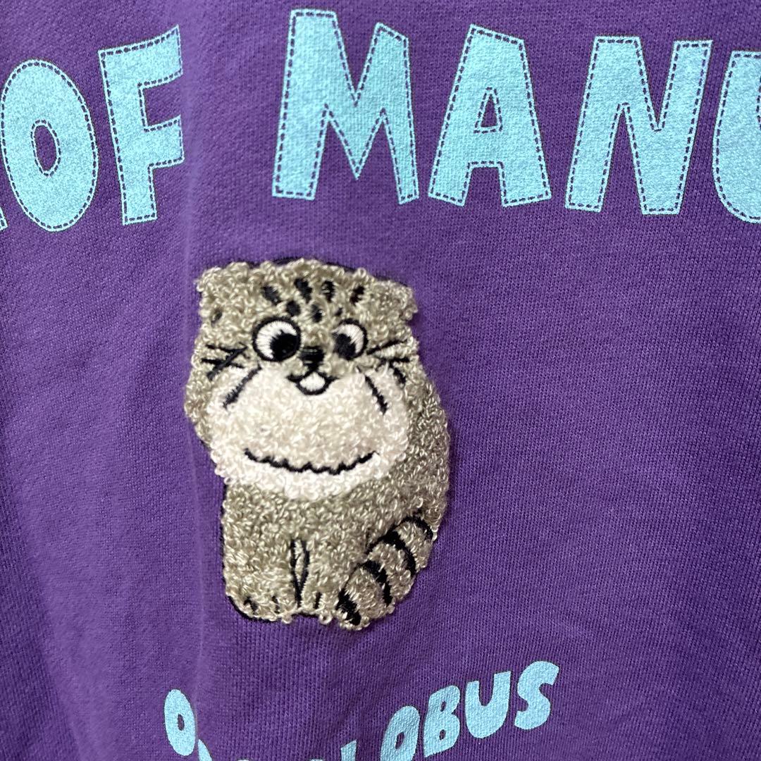 ドラックストアーズ