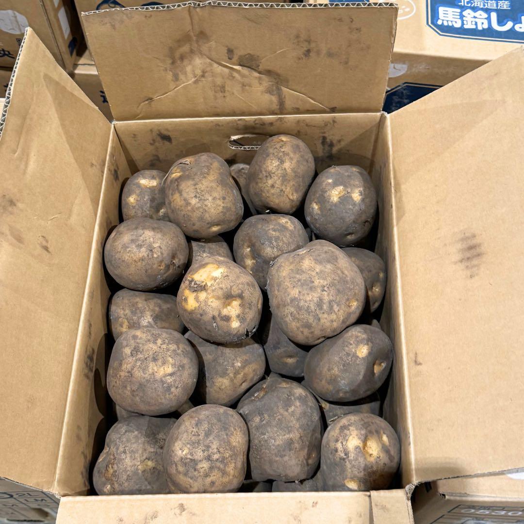 ジャンボサイズ　数量限定　じゃがいも　06