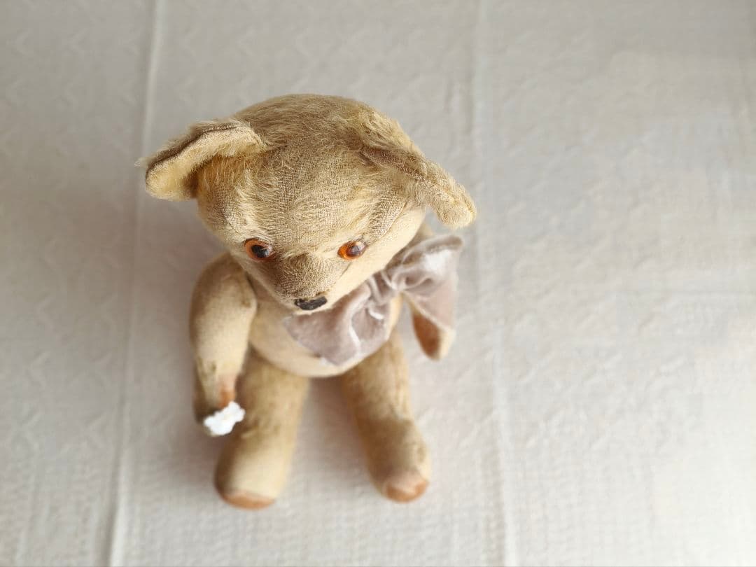 * antique bear ୨୧ .·*° オレンジの瞳が可愛い クマさん