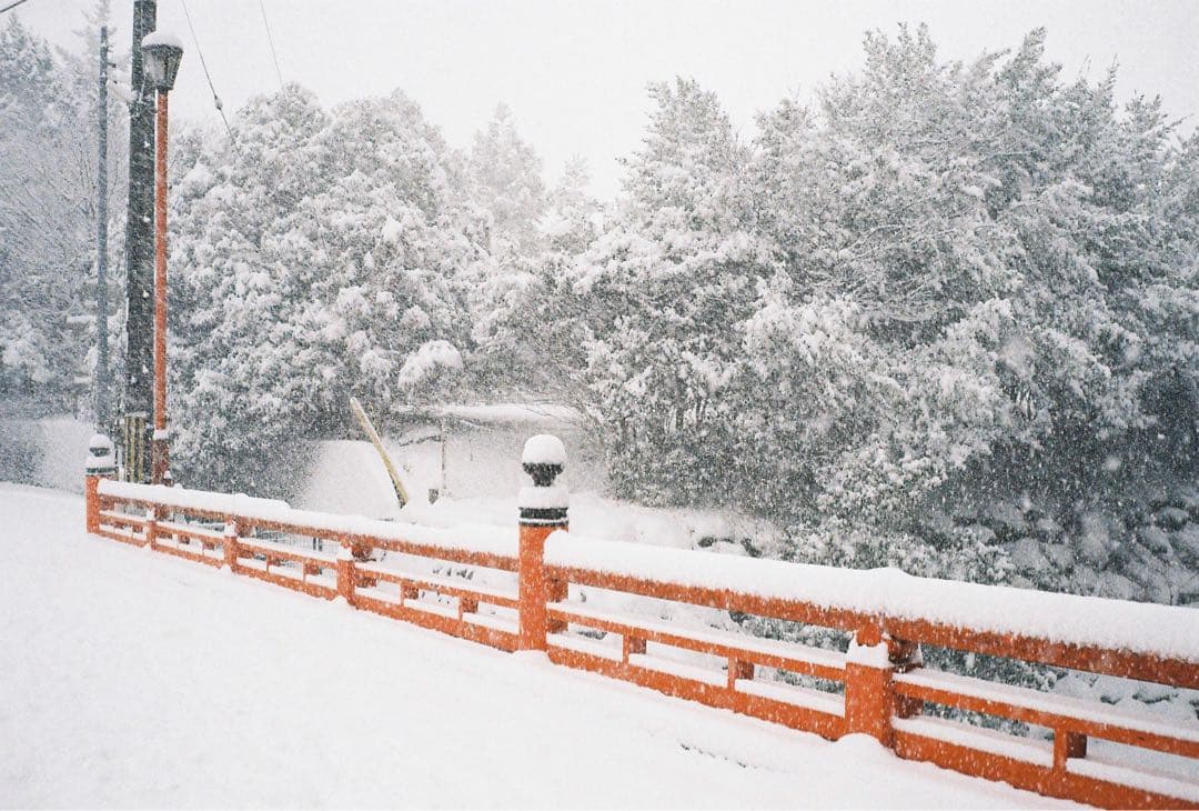 OLYMPUS TRIP 35 フィルムカメラ