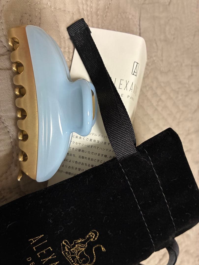 ALEXANDRE DE PARIS 水色ヘアクリップ