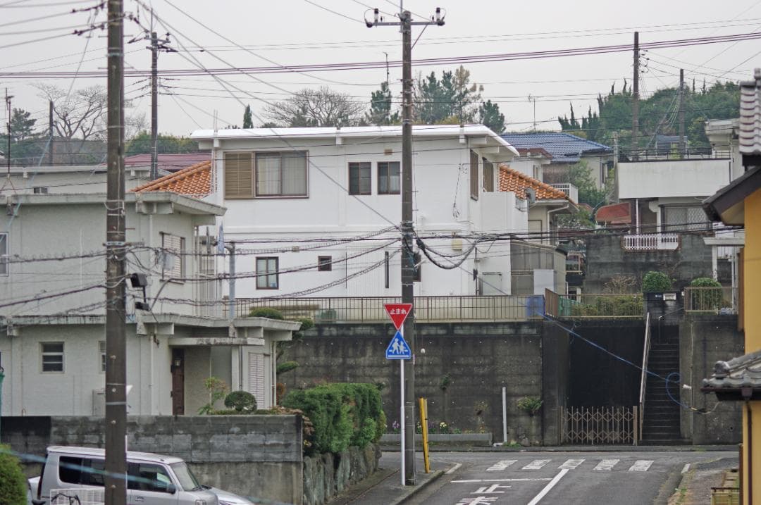 レンズ(単焦点) SMC Pentax-FA 100mm F2.8 Macro #7854