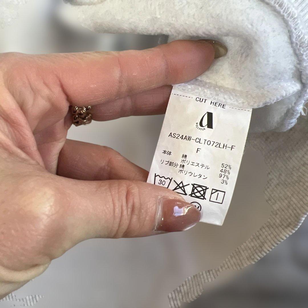 ALEXIA STAMwellness フーディー　スウェット上下セット