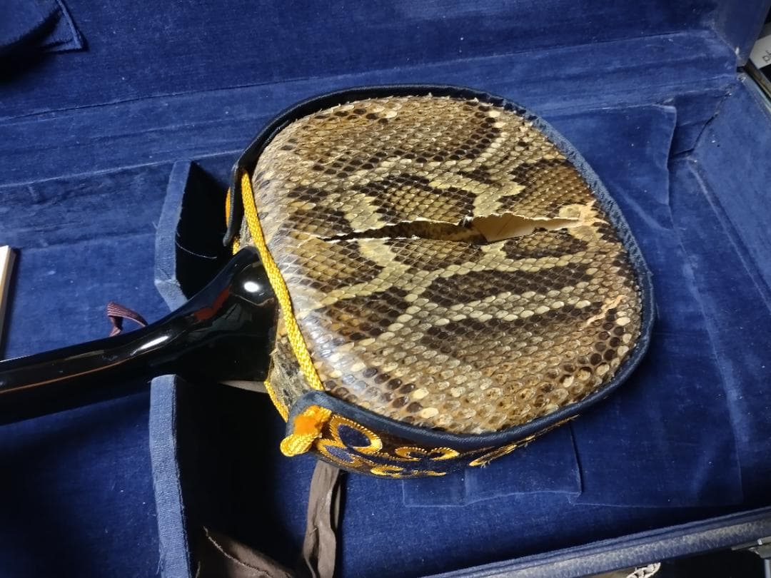 沖縄三線　バチ　ウマ　　胴皮破れ　現状渡し品