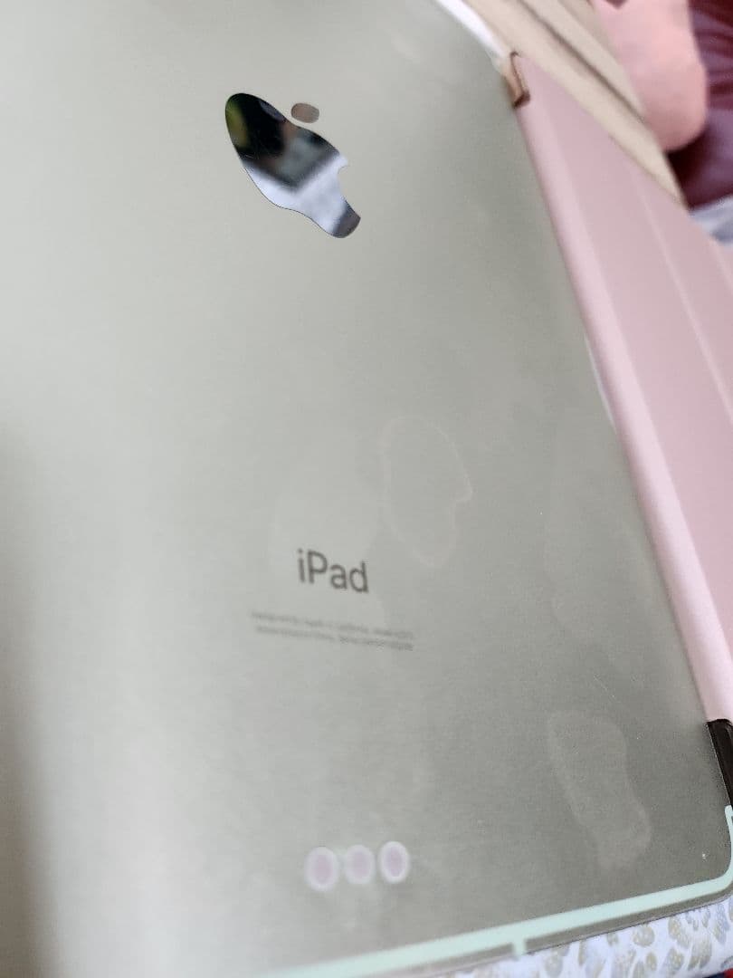 iPad Air 第4世代 256gb 本体 Apple Pencil ケース付