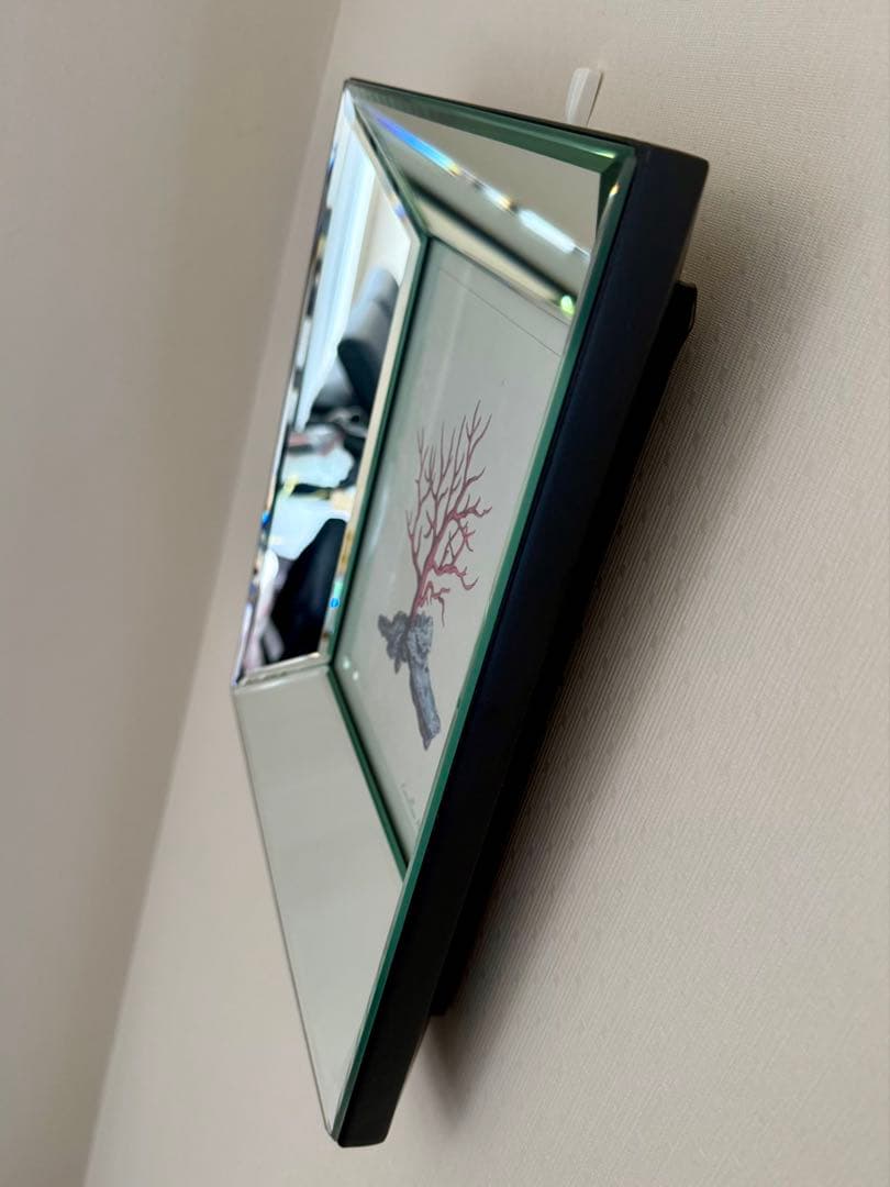 高級4面ミラーのフォトフレーム 額縁 四角形 赤いコーラル