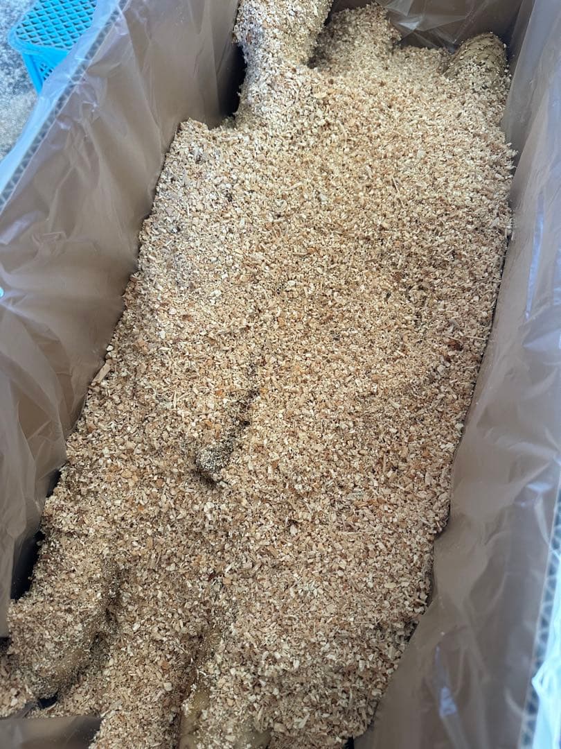 ひで様　贈答10キロと規格外10キロ