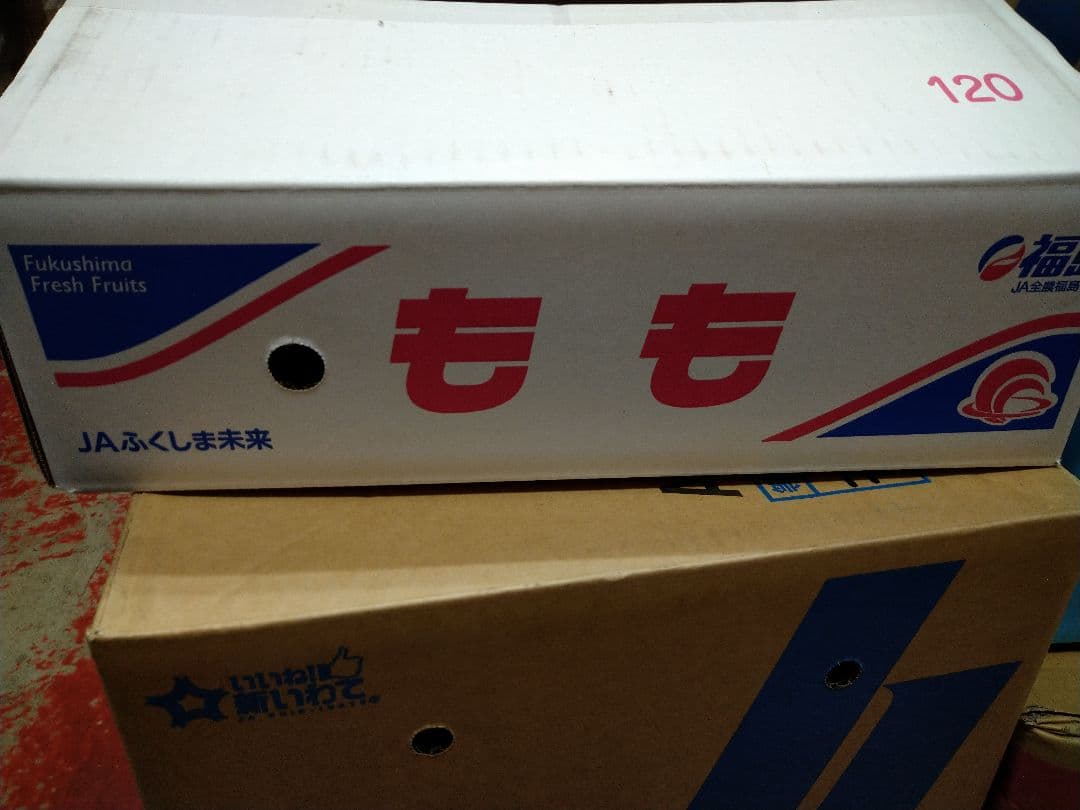 硬い桃(CX／シーエックス)11玉 ふくしま未来