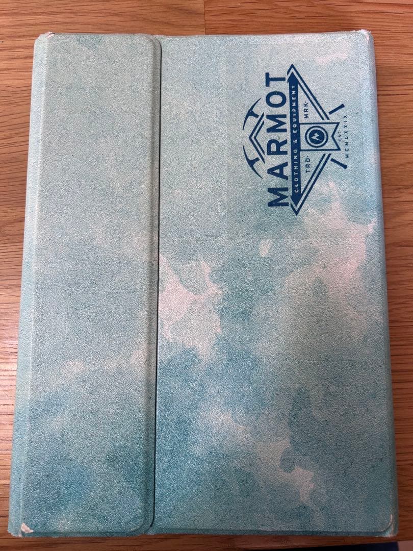 Apple iPad 第5世代 ゴールド 本体 32GB