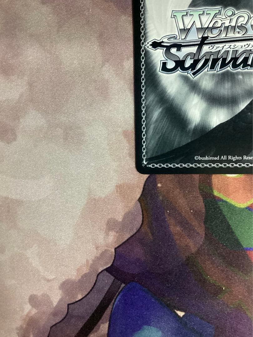 WS ガンゲイルオンライン LPFM レン SEC＋ サイン シク シークレット