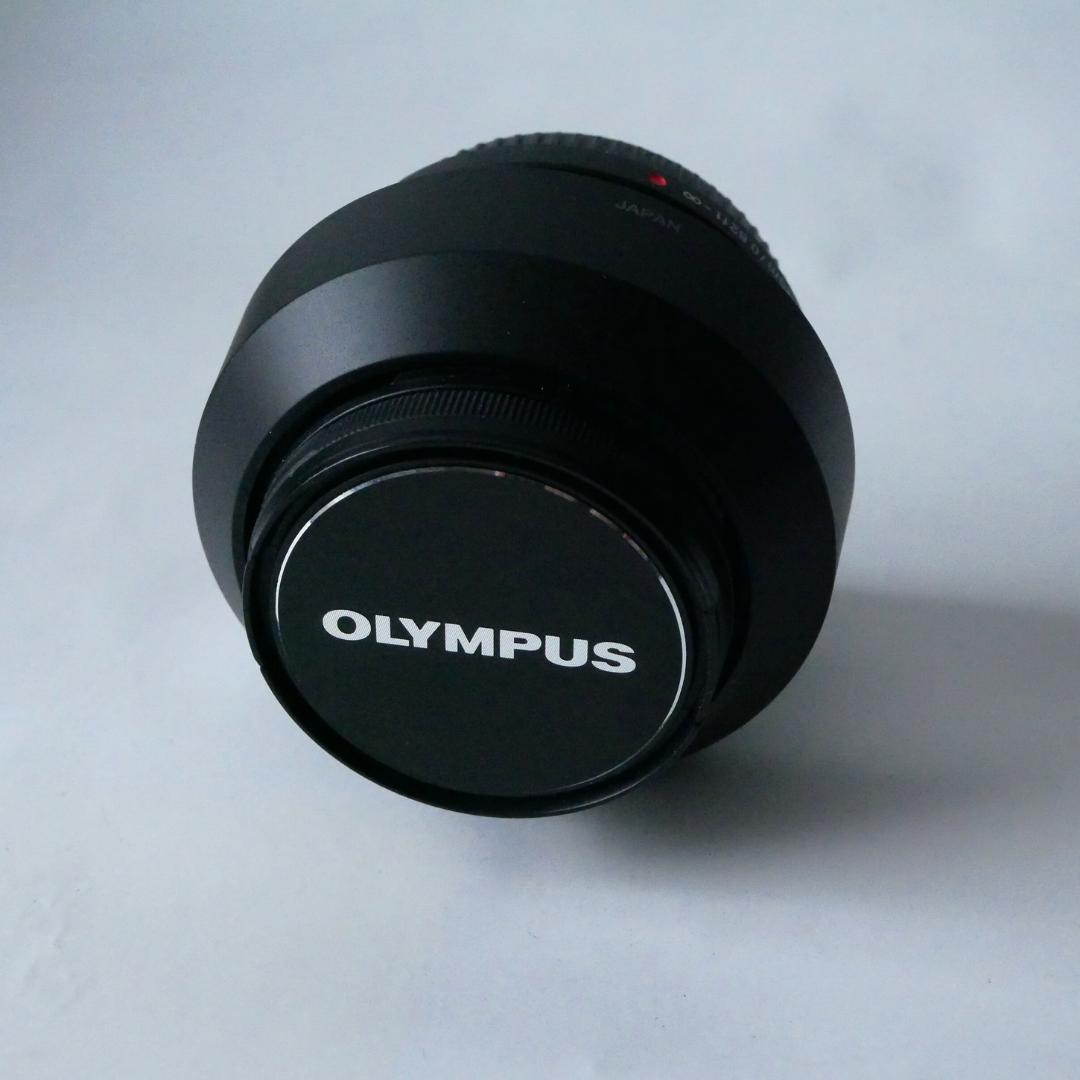 【美品・シャッター回数1178回】オリンパス OM-D E-M5 Mark II