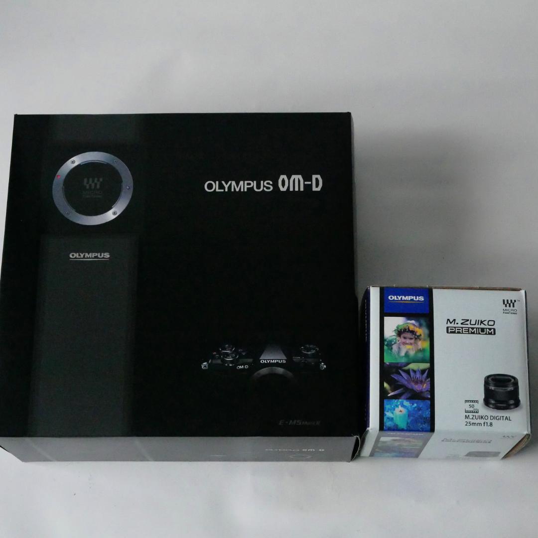 【美品・シャッター回数1178回】オリンパス OM-D E-M5 Mark II