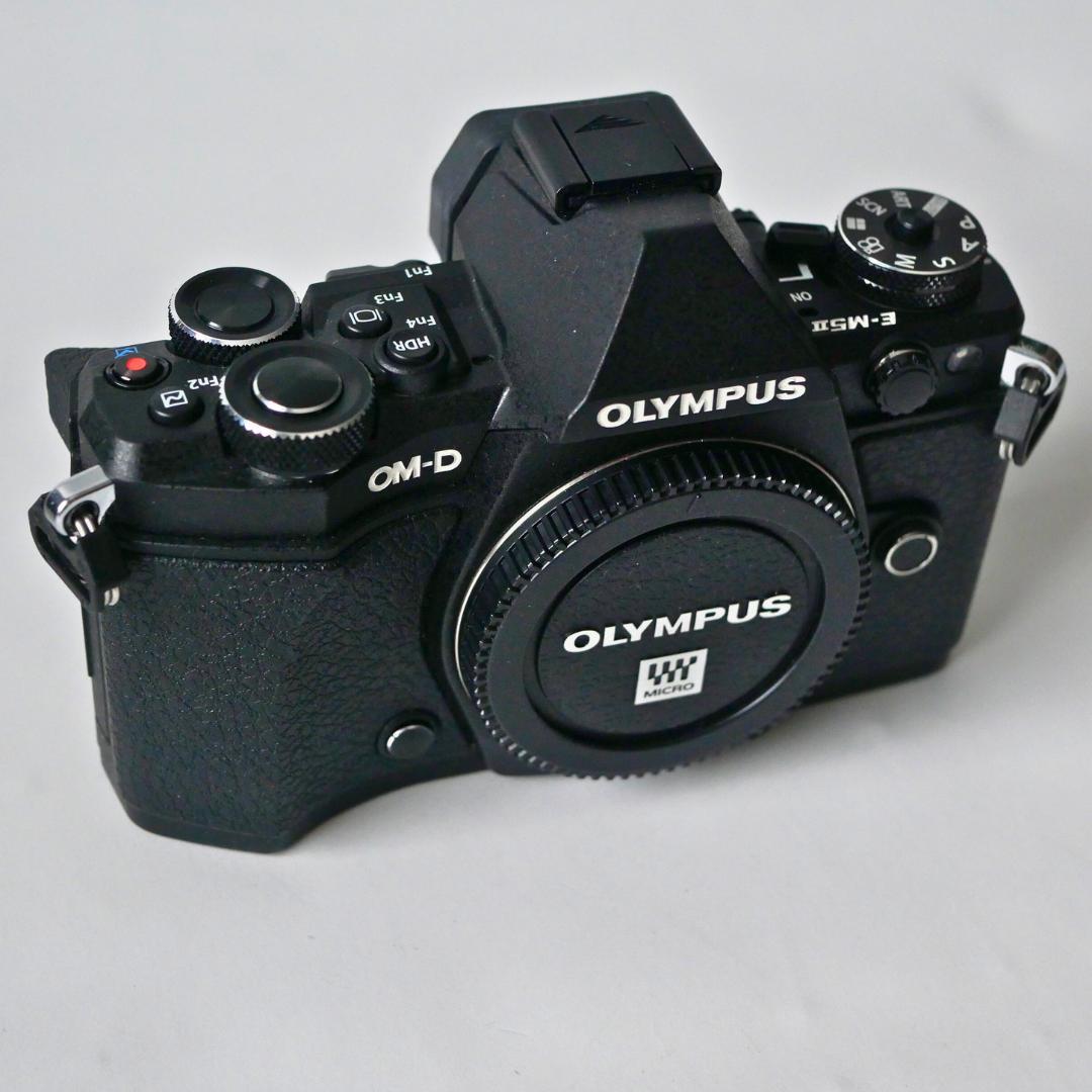 【美品・シャッター回数1178回】オリンパス OM-D E-M5 Mark II