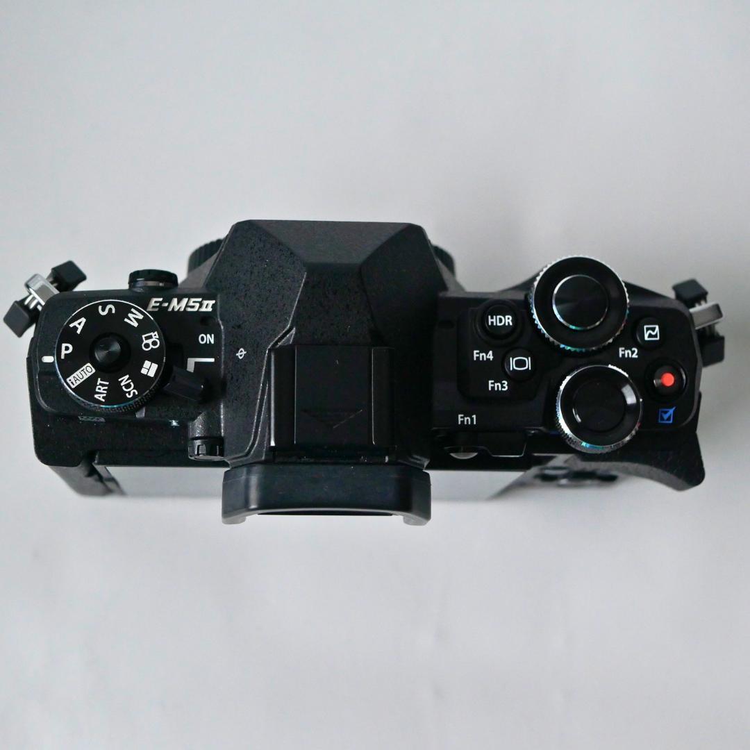 【美品・シャッター回数1178回】オリンパス OM-D E-M5 Mark II