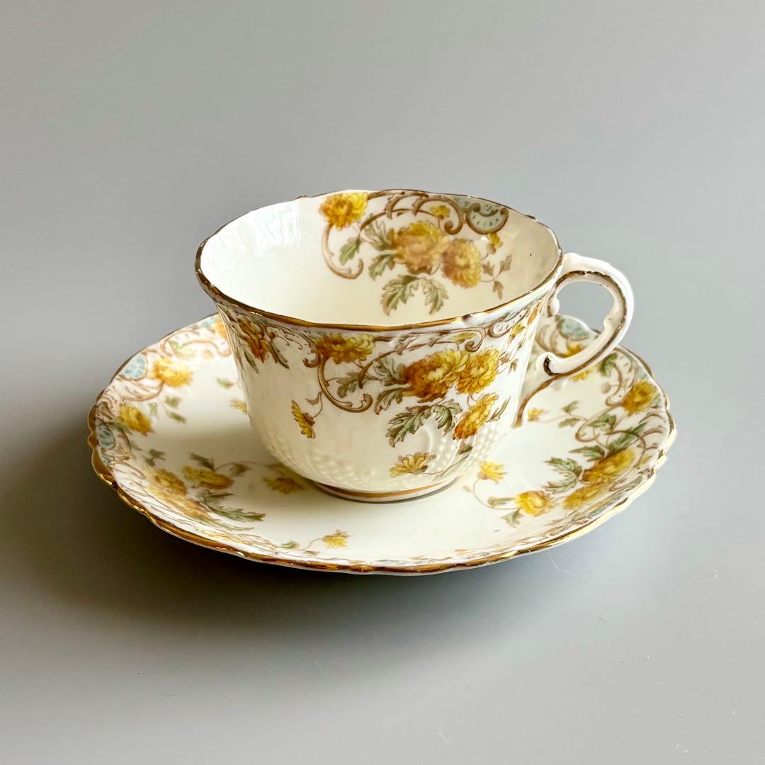 カピ バラ様*°♡